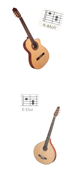 Gitarrenbild
